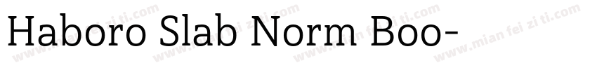 Haboro Slab Norm Boo字体转换